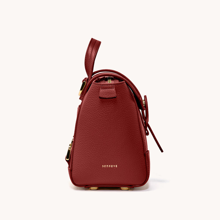 Perfectly Imperfect | Mini Maestra Bag | Dolce 4 main