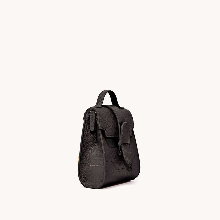 Mini Alunna Bag Dolce Charcoal with Gold Hardware Side View 2