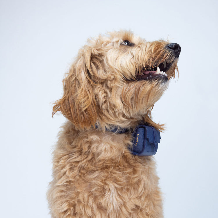 Milli Maestra | Pebbled 8 main