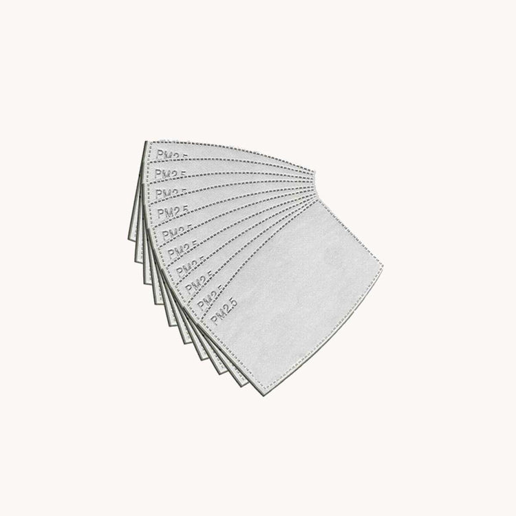 10 PM 2.5 Mask Filters